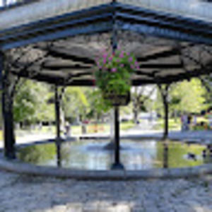 Meet your Posher, Caroline